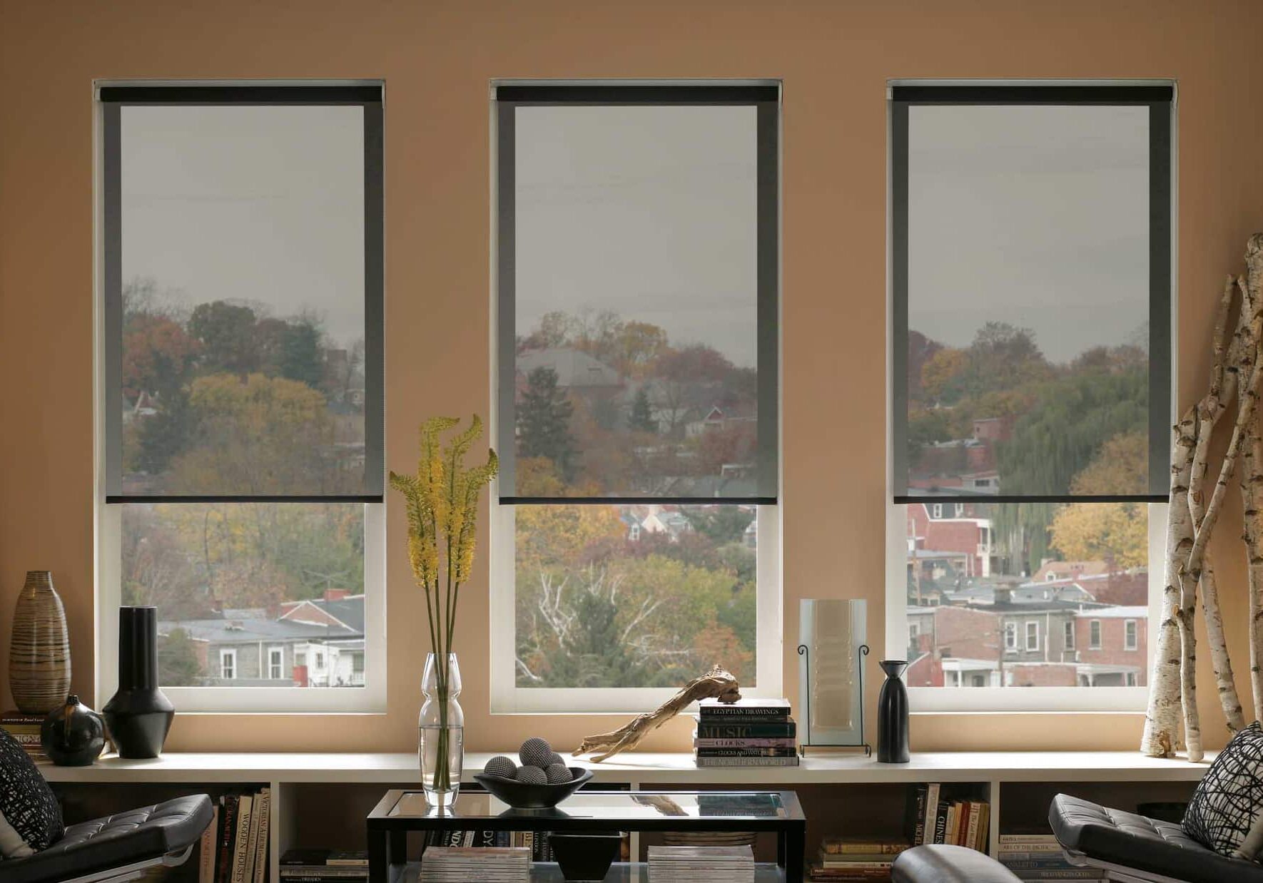 Manual Motorized Darkening Shades
